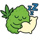 snoozebud