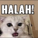:emoji_5: