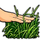 touchgrass
