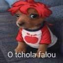 tchola_dms