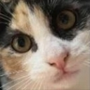 :Maki: