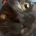 :Nori: