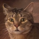:rockydisbelief: