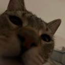 :rockystare: