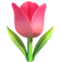 b_tulip