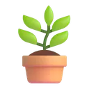 d_plantpot