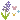 n_august_flower