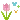 n_flower