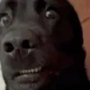 huh