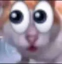 cateyes