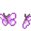Purple_butterfly