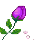 Rosebloom