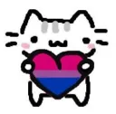 bisexual