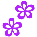 purpflower2