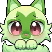 SprigatitoShy