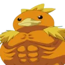 TorchicBuff