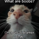 :Boobs: