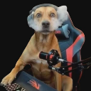 :cho_do: