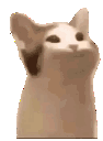 :77102popcat: