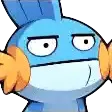 MudkipStareWTF