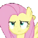 almlpflutterwhat