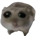 :Hamster_sad: