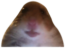:Dahampter: