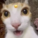 :HY_Huh: