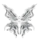 white_butterfly2