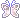 06_butterfly