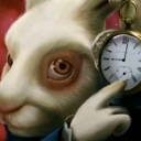 :rabit: