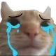 cryingcat