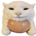 Japorzko