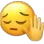 emoji_talk_to_my_hand