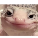 pungta_smile Discord Emoji | ভূতের আড্ডা