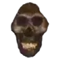 CursedSkull_MO