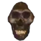 CursedSkull_MO custom emote | 🥞💤 ﹒slumber﹕𝜗𐑞 ⌇ chill ˚₊‧ friends ˚₊‧ social ˚₊‧ vc ˚₊‧ hangout ˚₊‧ emotes ˚₊‧ nitro