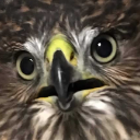 fek Discord emoji