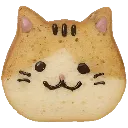 o_cat2