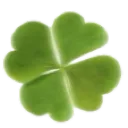 g_leaf