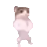 e_catdance