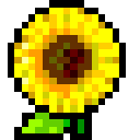 :IMG5137: