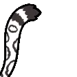 lumisn1Lumitailwag