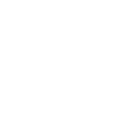 stacy