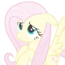 000flutter_shy