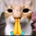 billie_the_car Discord Emoji | LETS MEOWWW