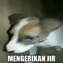 :emoji_11: