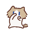 3516scubbacat