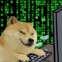 barkinghacker