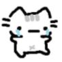 :cat_cry: